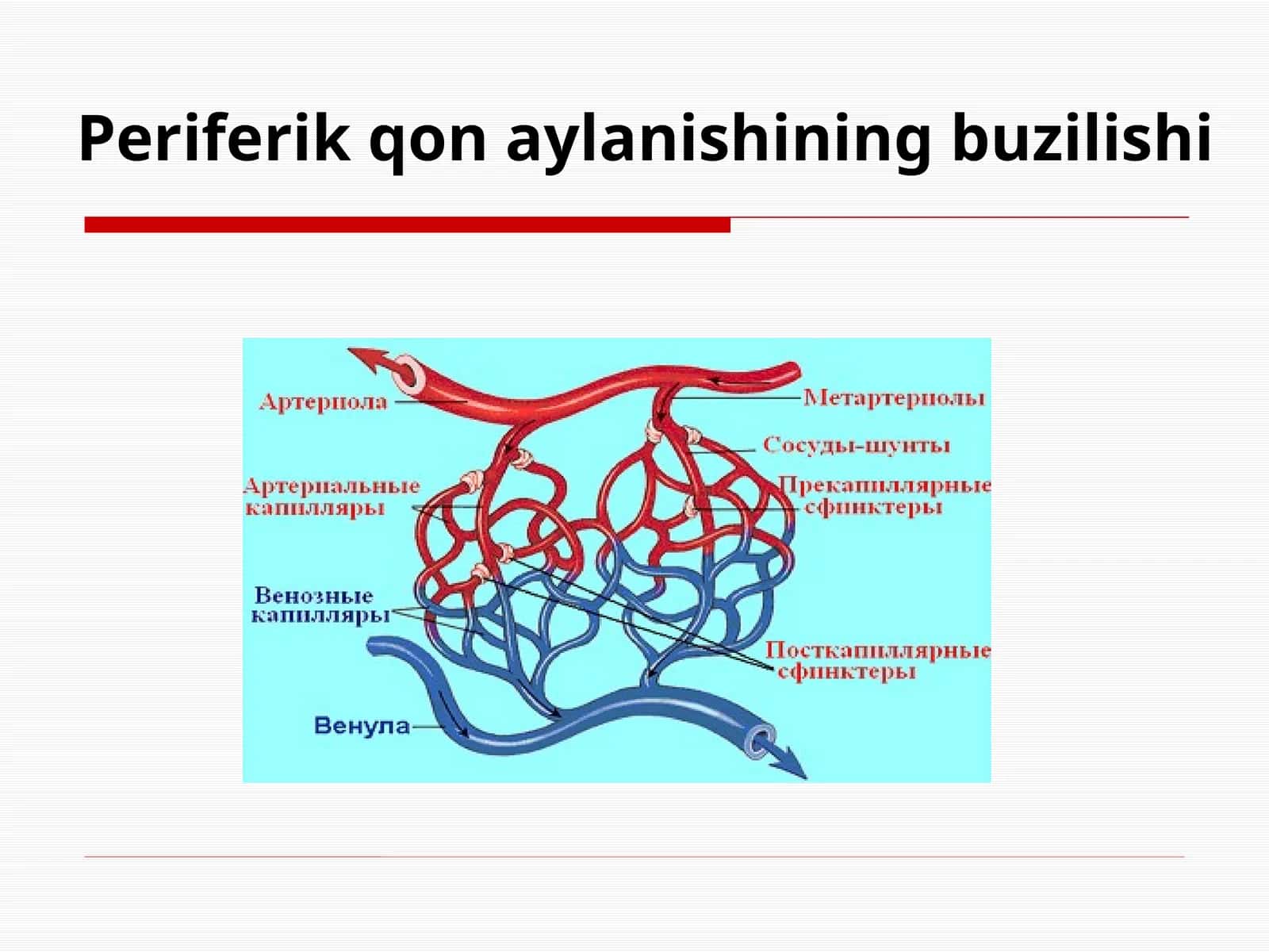 Periferik qon aylanishining buzilishi 1