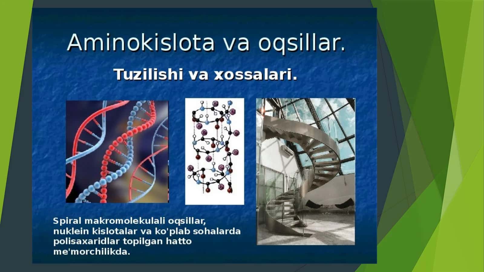 Aminokislota va oqsillar 1