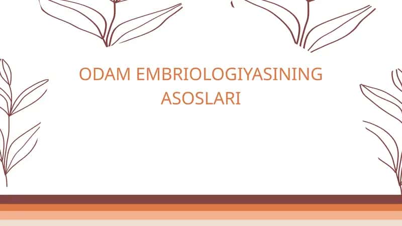 Odam embriologiyasi gistologiyasi 1