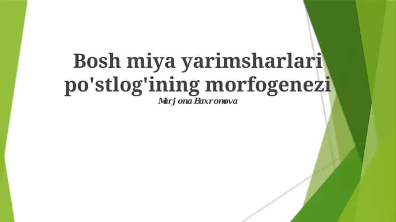 Bosh miya yarimsharlari po'stlog'ining morfogenezi 1