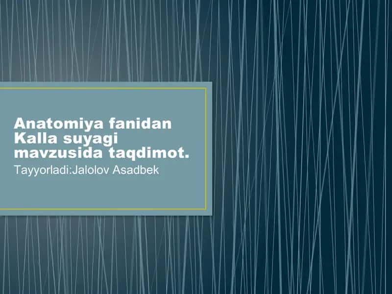 Anatomiya fanidan Kalla suyagi mavzusida taqdimot. 1