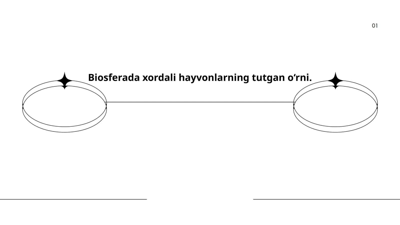Xayvonlarning biosfera muvozanatidagi o‘rni 1
