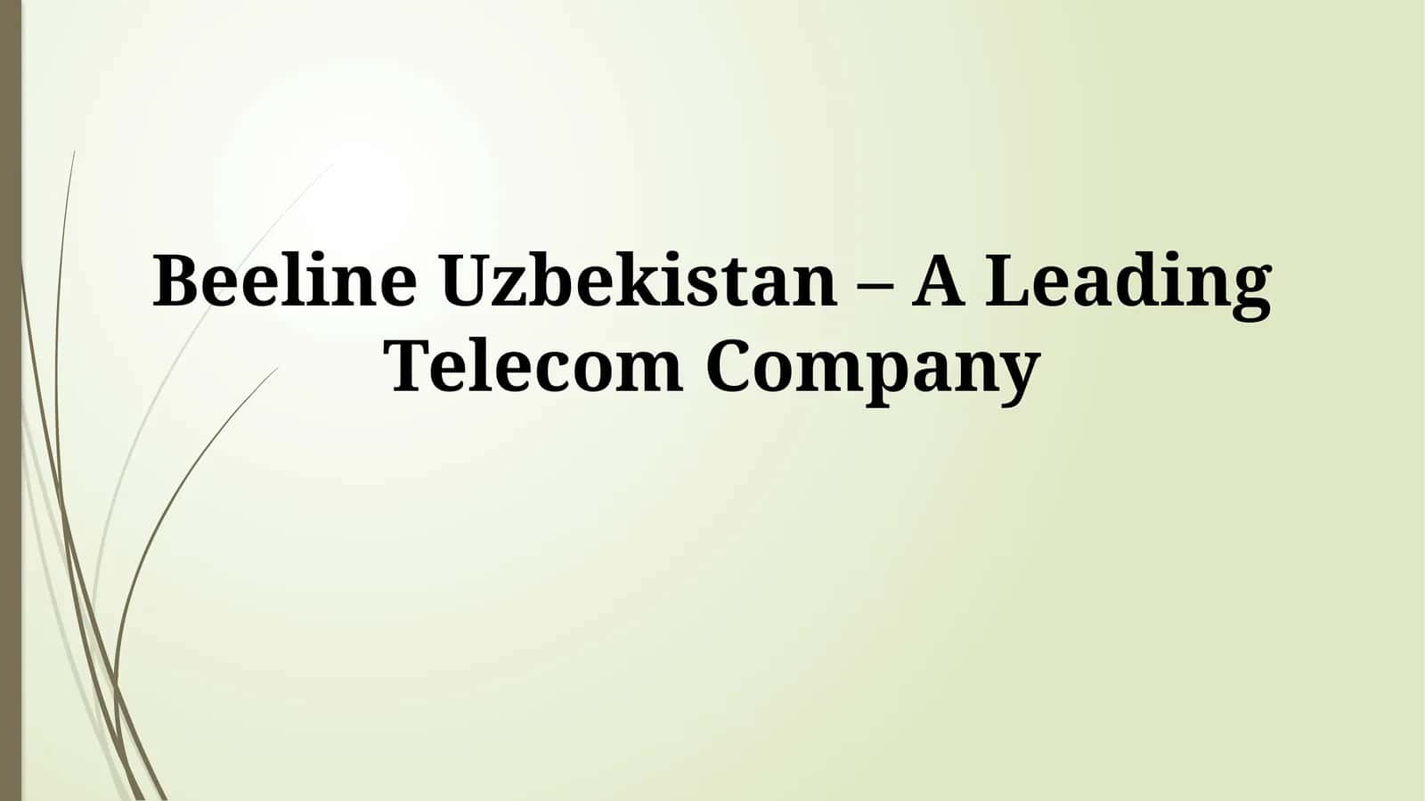 Beeline Uzbekistan – A Leading Telecom Company 1