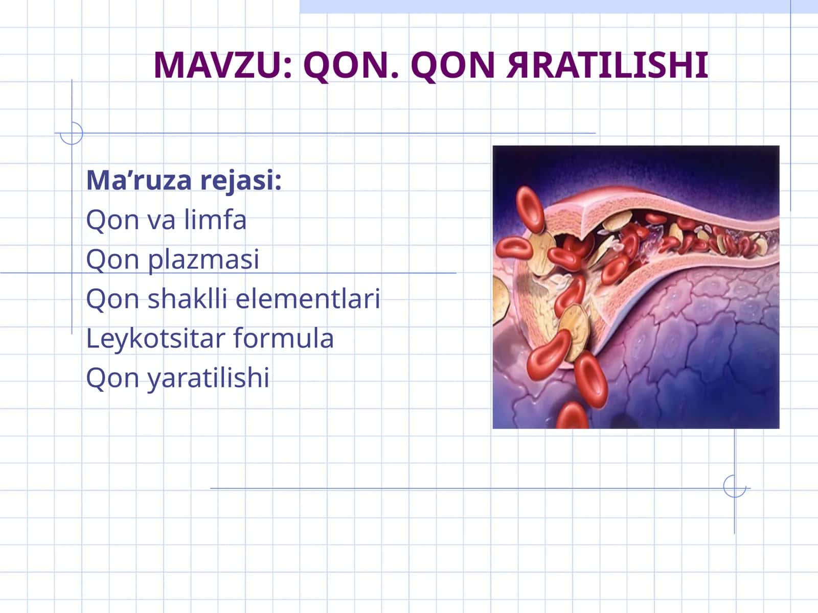 QON 1