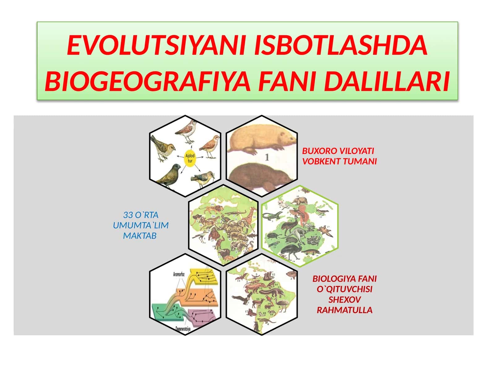 EVOLUTSIYANI ISBOTLASHDABIOGEOGRAFIYA FANI DALILLARI 1