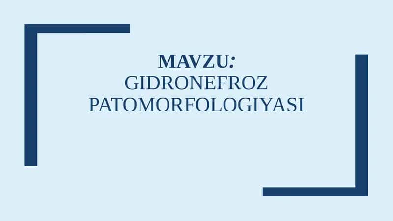 Gidronefroz Patomorfologiyasi 1
