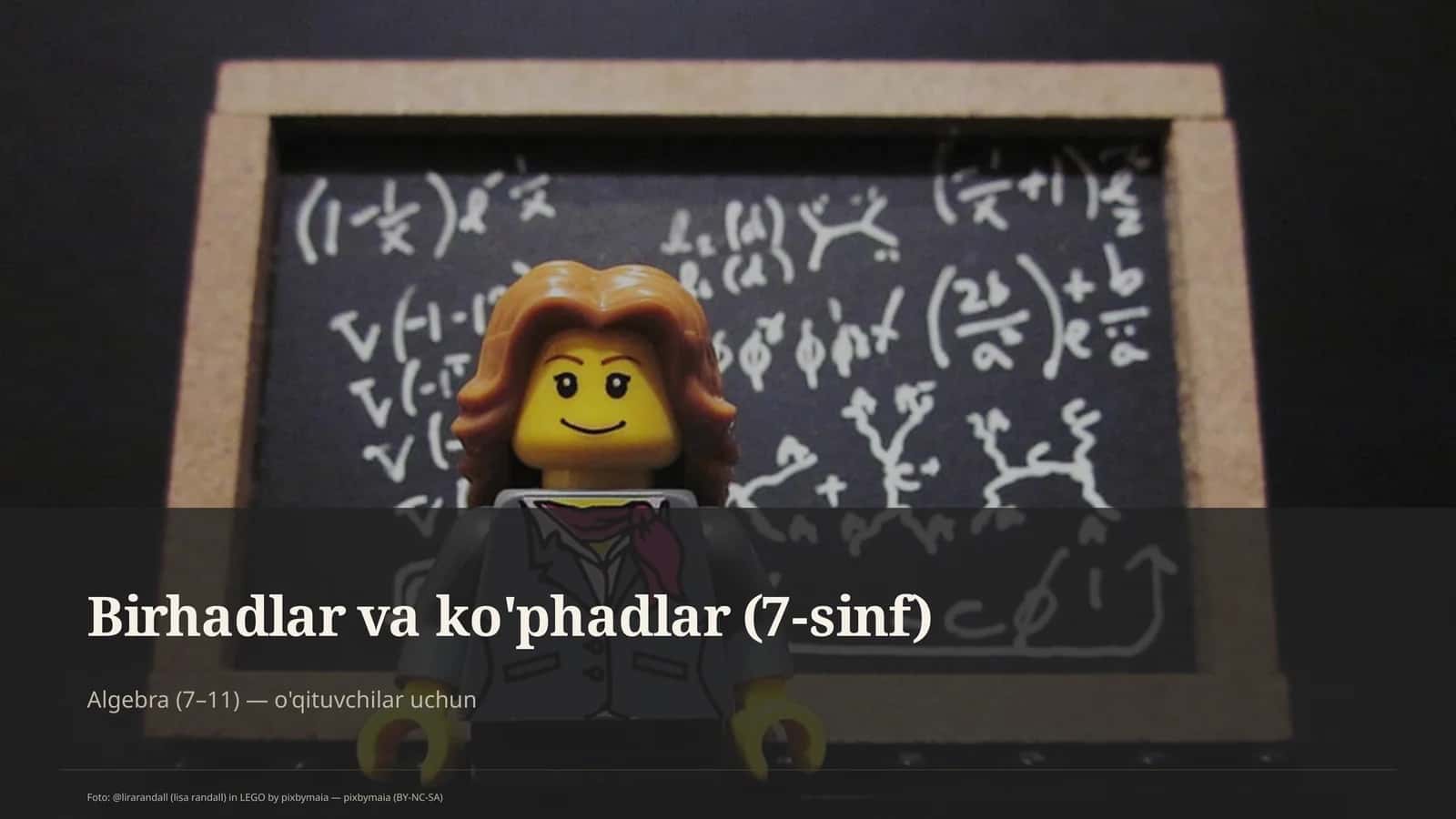 Birhadlar va ko'phadlar (7-sinf) 1