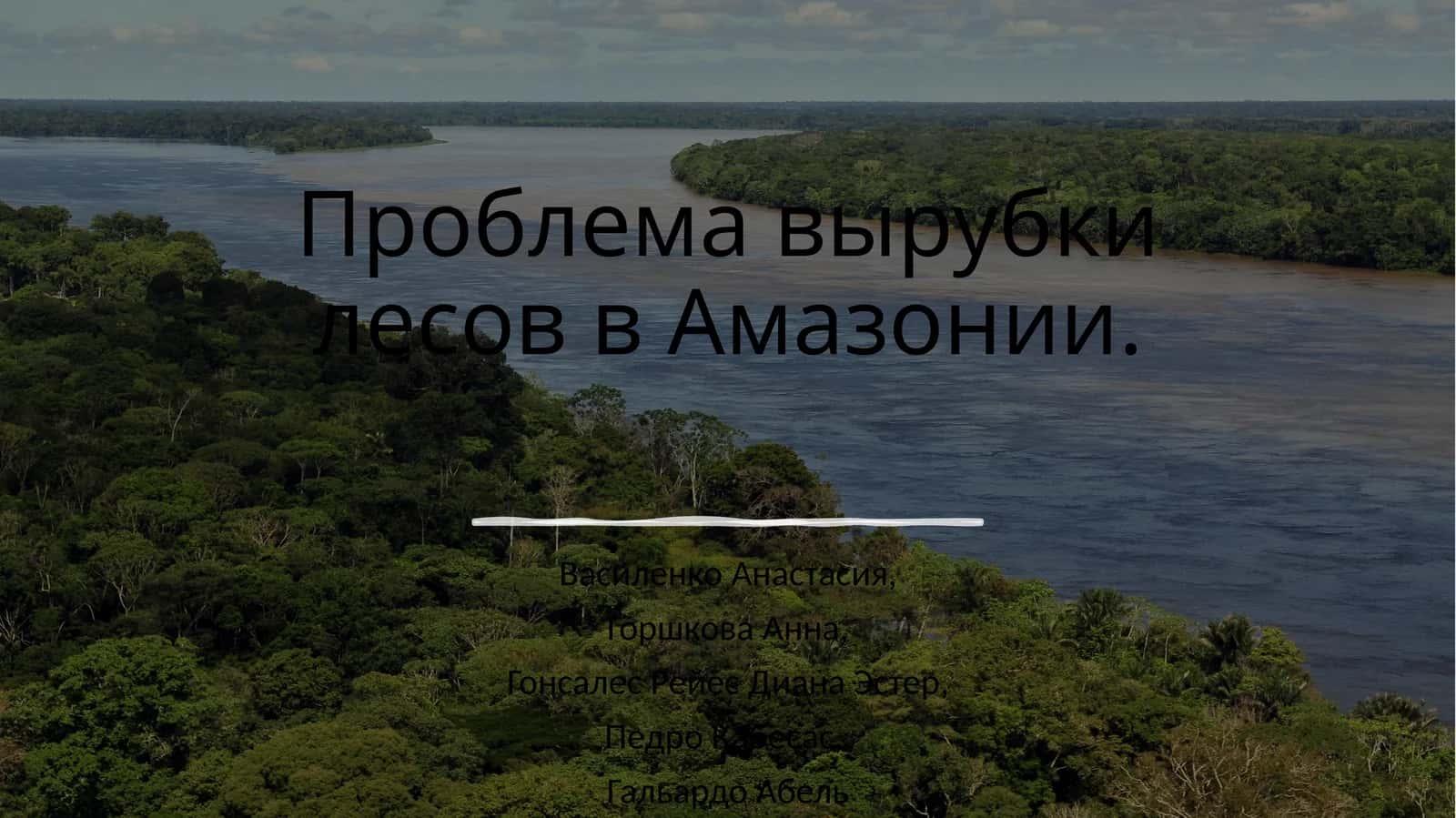 Проблема вырубки лесов в Амазонии 1