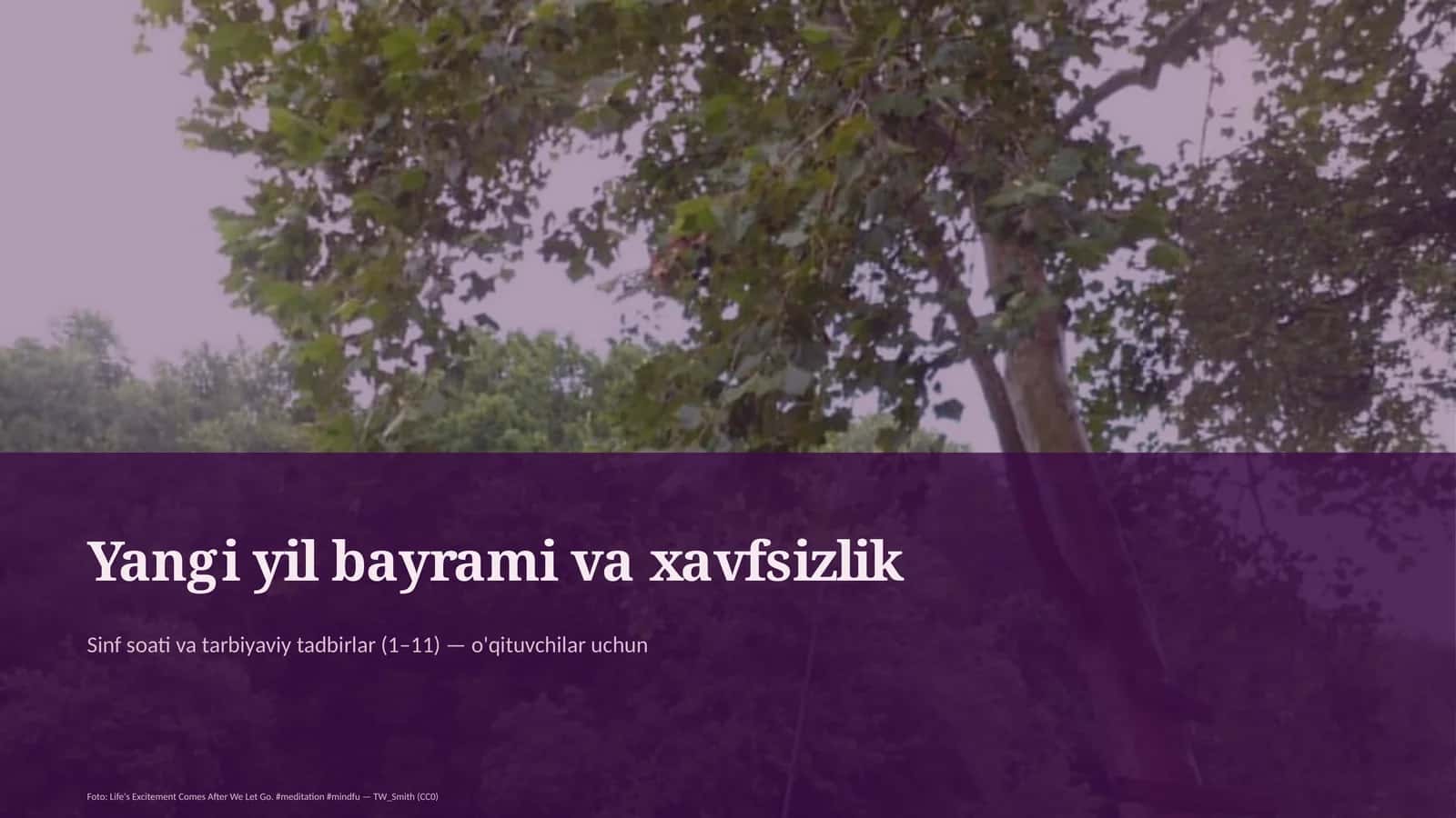 Yangi yil bayrami va xavfsizlik 1
