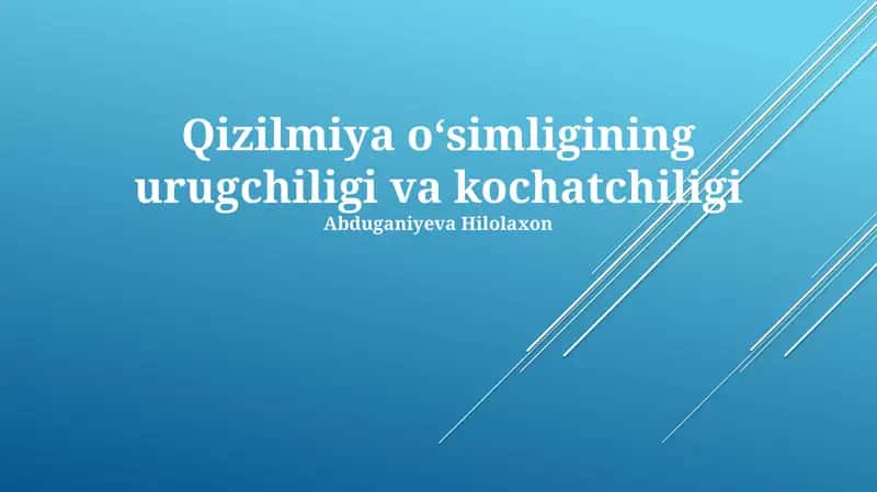 Qizilmiya oʻsimligining urugchiligi va kochatchiligi 1