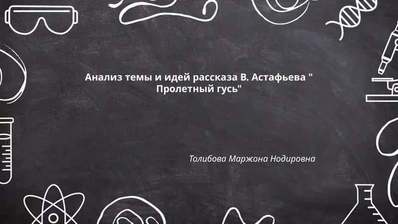 Пролетный гусь 1