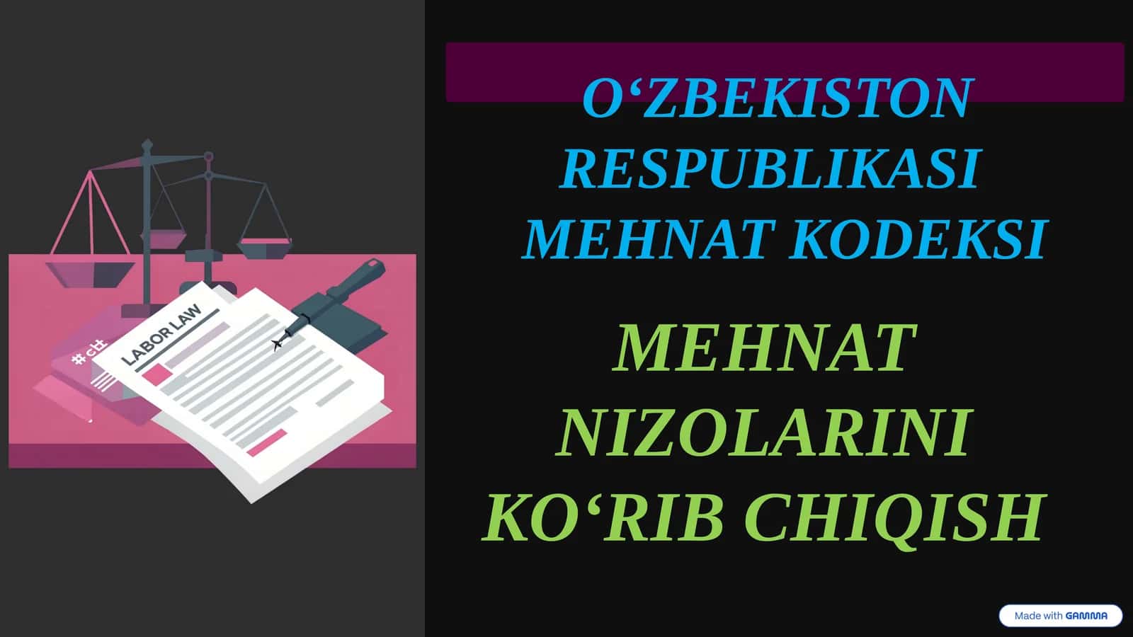 MEHNAT NIZOLARINI KOʻRIB CHIQISH 1