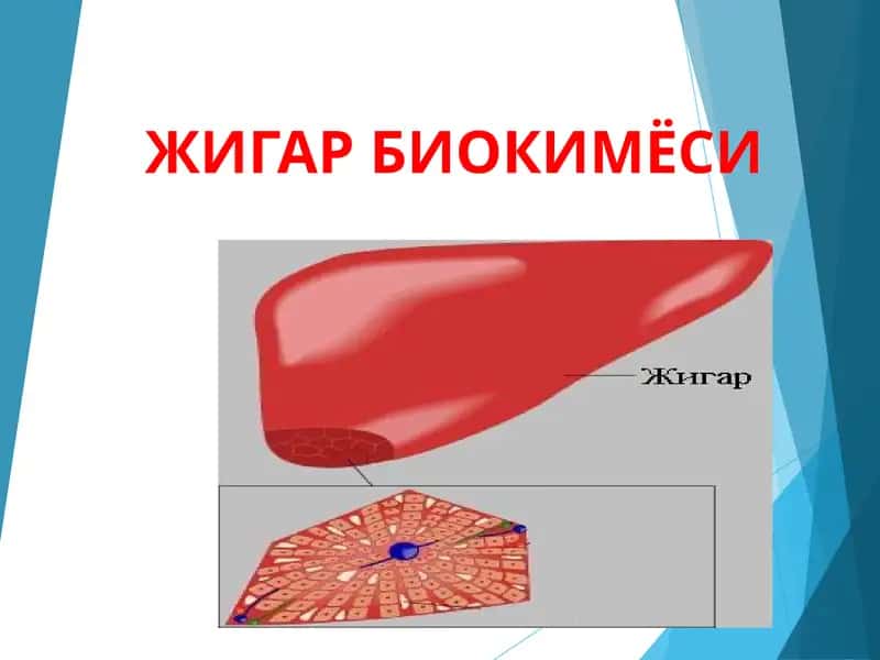 ЖИГАР БИОКИМЁСИ 1