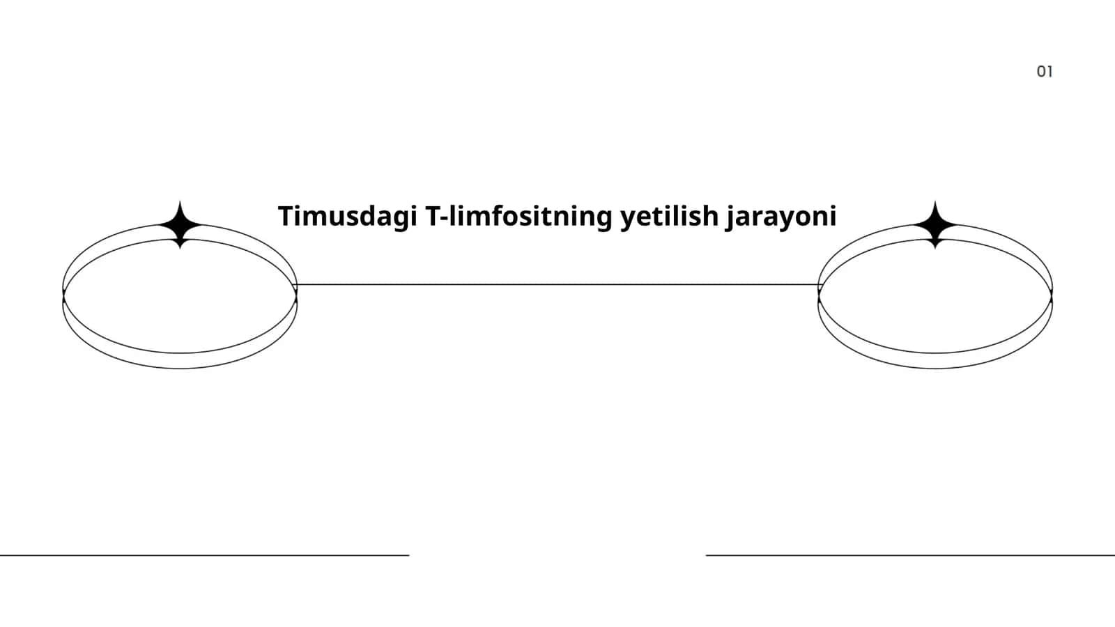 Timusdagi T-limfositning yetilish jarayoni 1