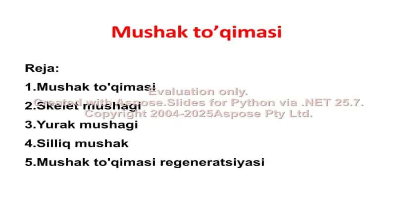 Mushak to’qimasi 1
