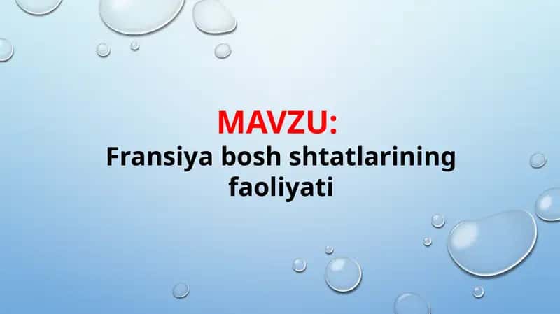 Fransiya bosh shtatlarining faoliyati (TAQDIMOT) 1