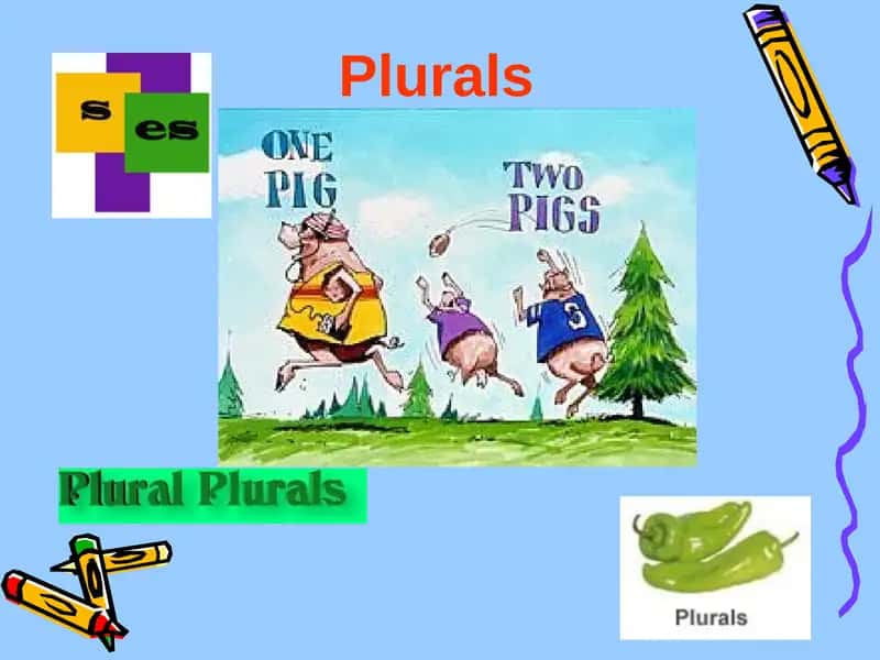 Plurals 1