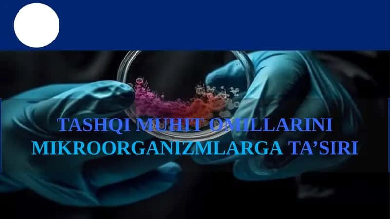 TASHQI MUHIT OMILLARINI MIKROORGANIZMLARGA TA’SIRI 1
