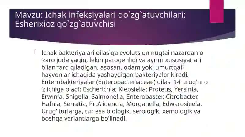 Ichak infeksiyalari qo`zg`atuvchilari: Esherixioz qo`zg`atuvchisi