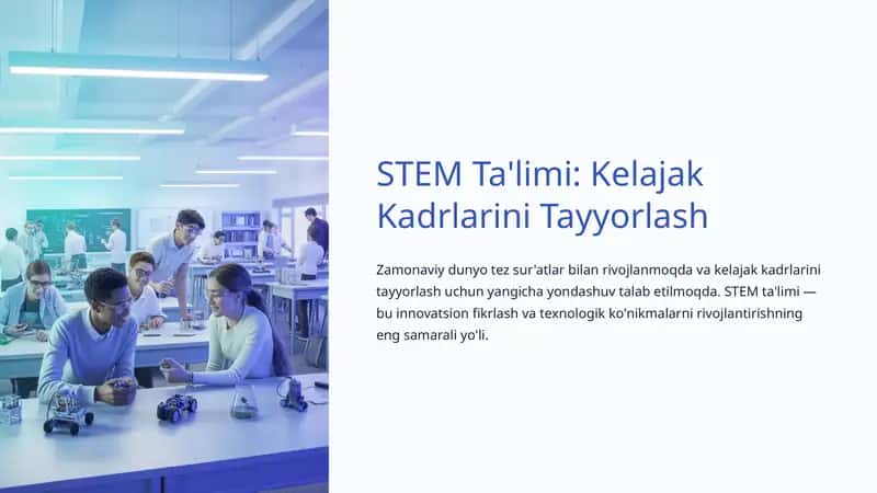 STEM Ta'limi 1