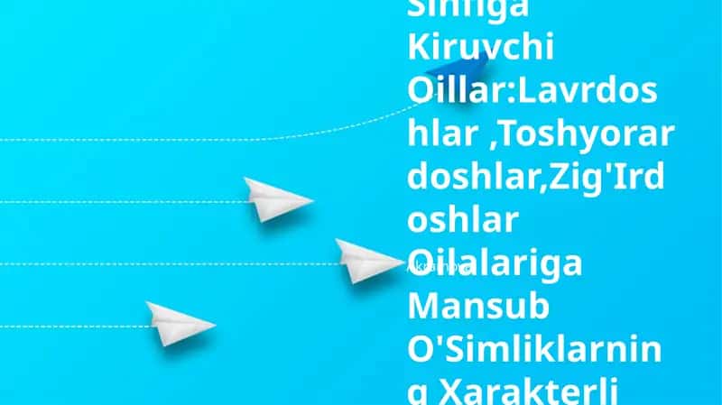 Ikki Urug'Pallali O'Simliklar 1