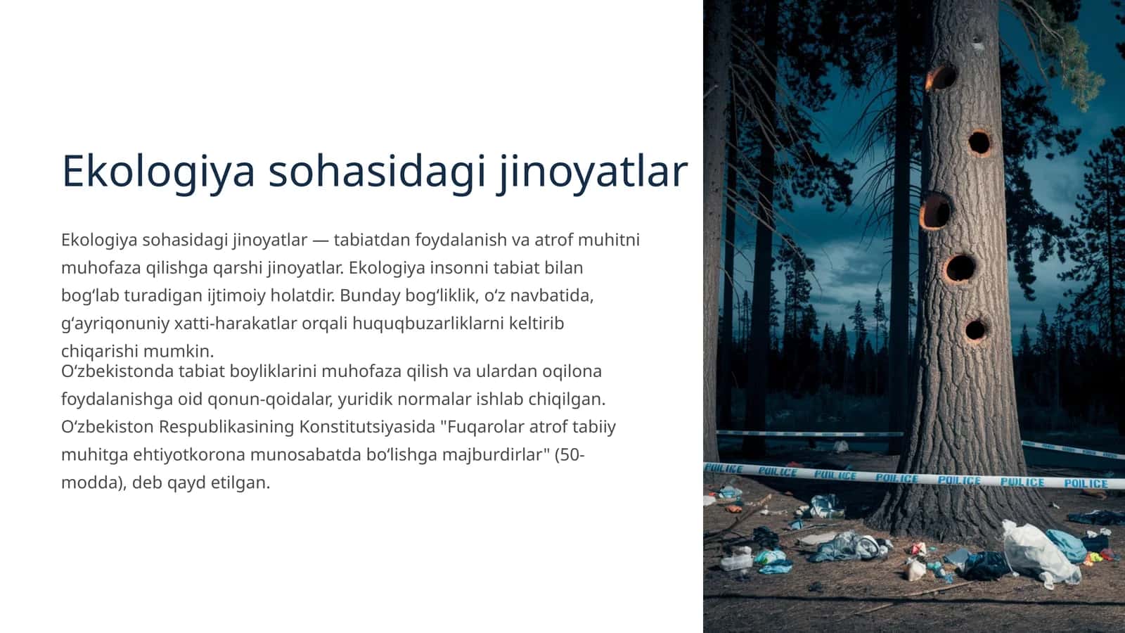 Ekologiya sohasidagi jinoyatlar 1