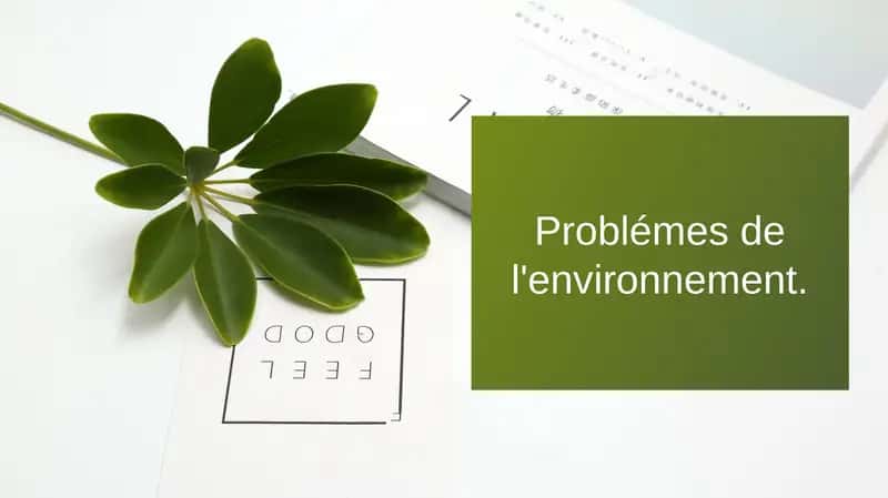 Problémes de l'environnement 1