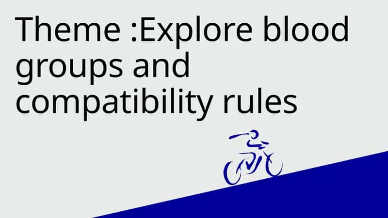 Explore blood groups and compatibility rules 1