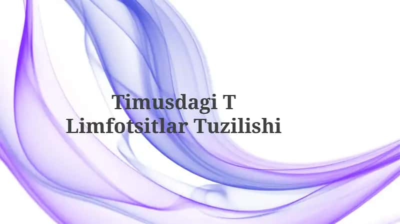 Timusdagi T Limfotsitlar Tuzilishi 1
