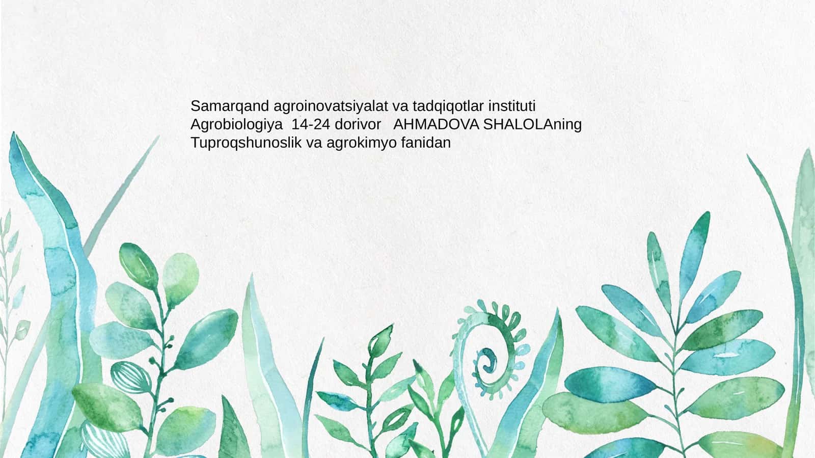 Amerika Tuproqlari 1