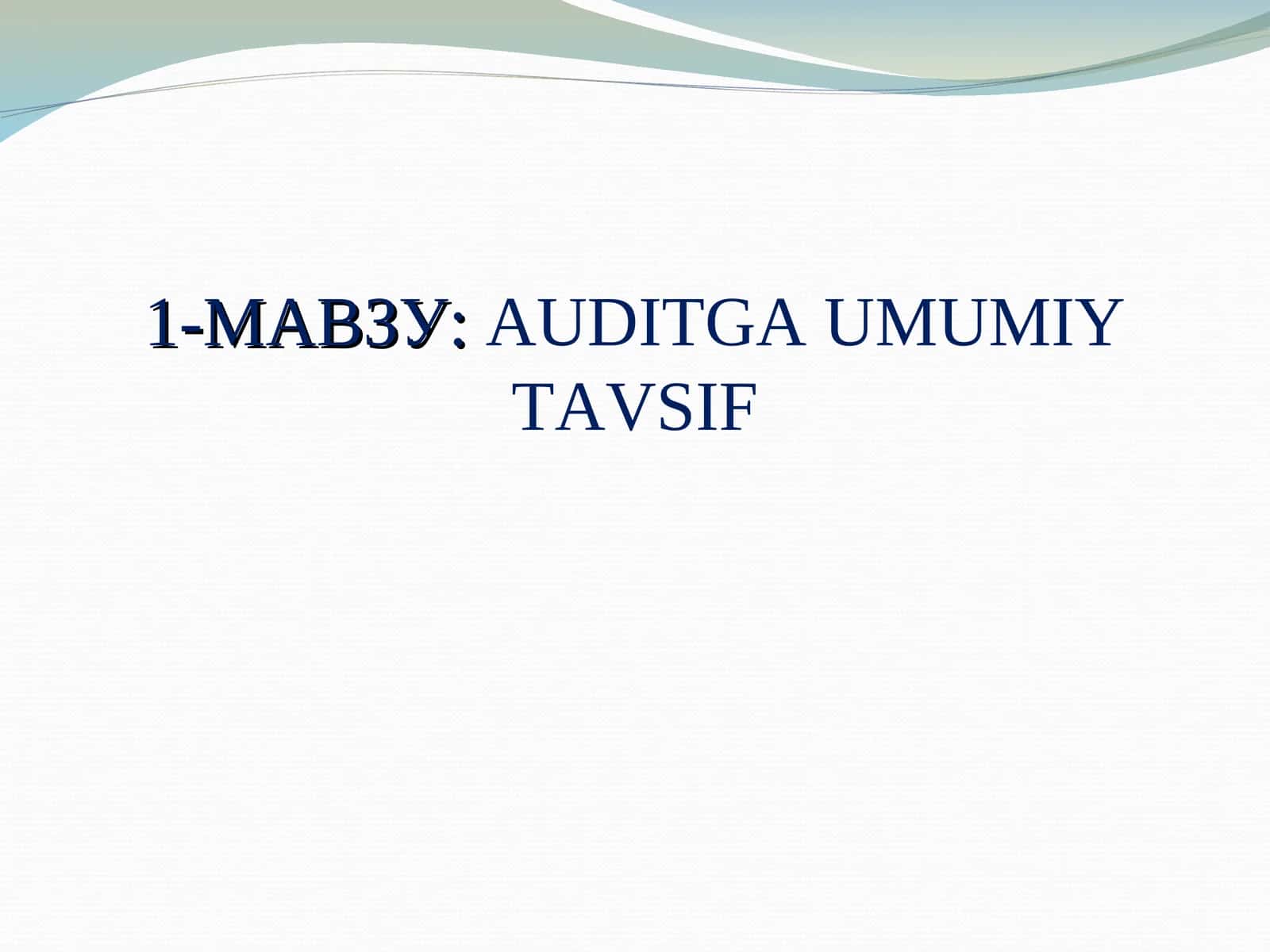 AUDITGA UMUMIY TAVSIF 1