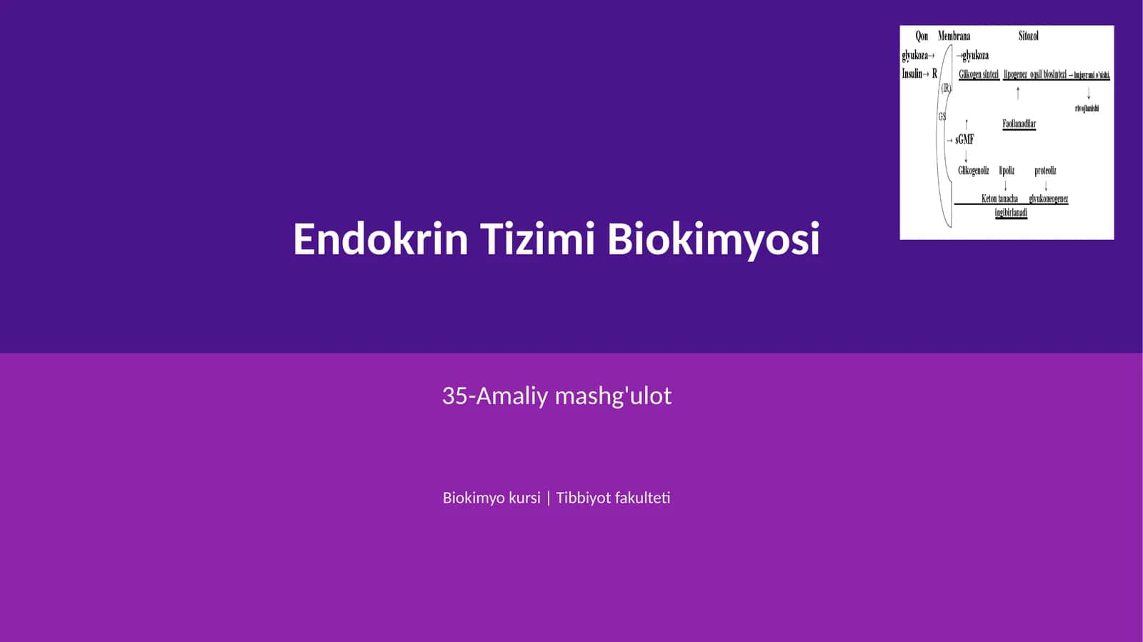 Endokrin Tizimi Biokimyosi 1