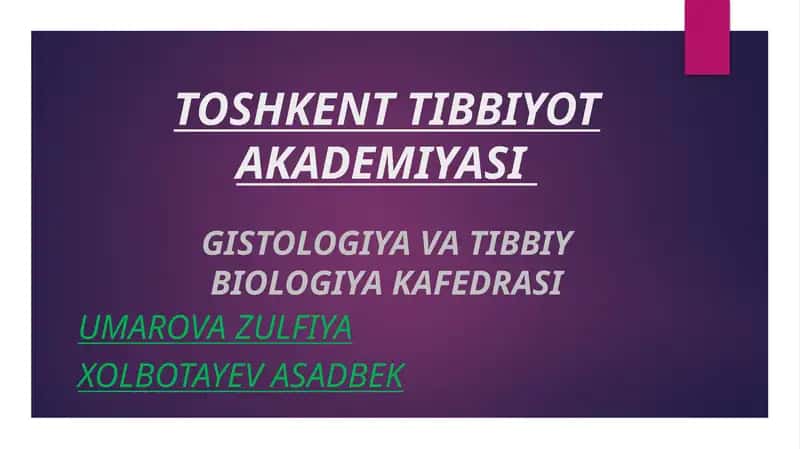 Limfa tugunlari 1