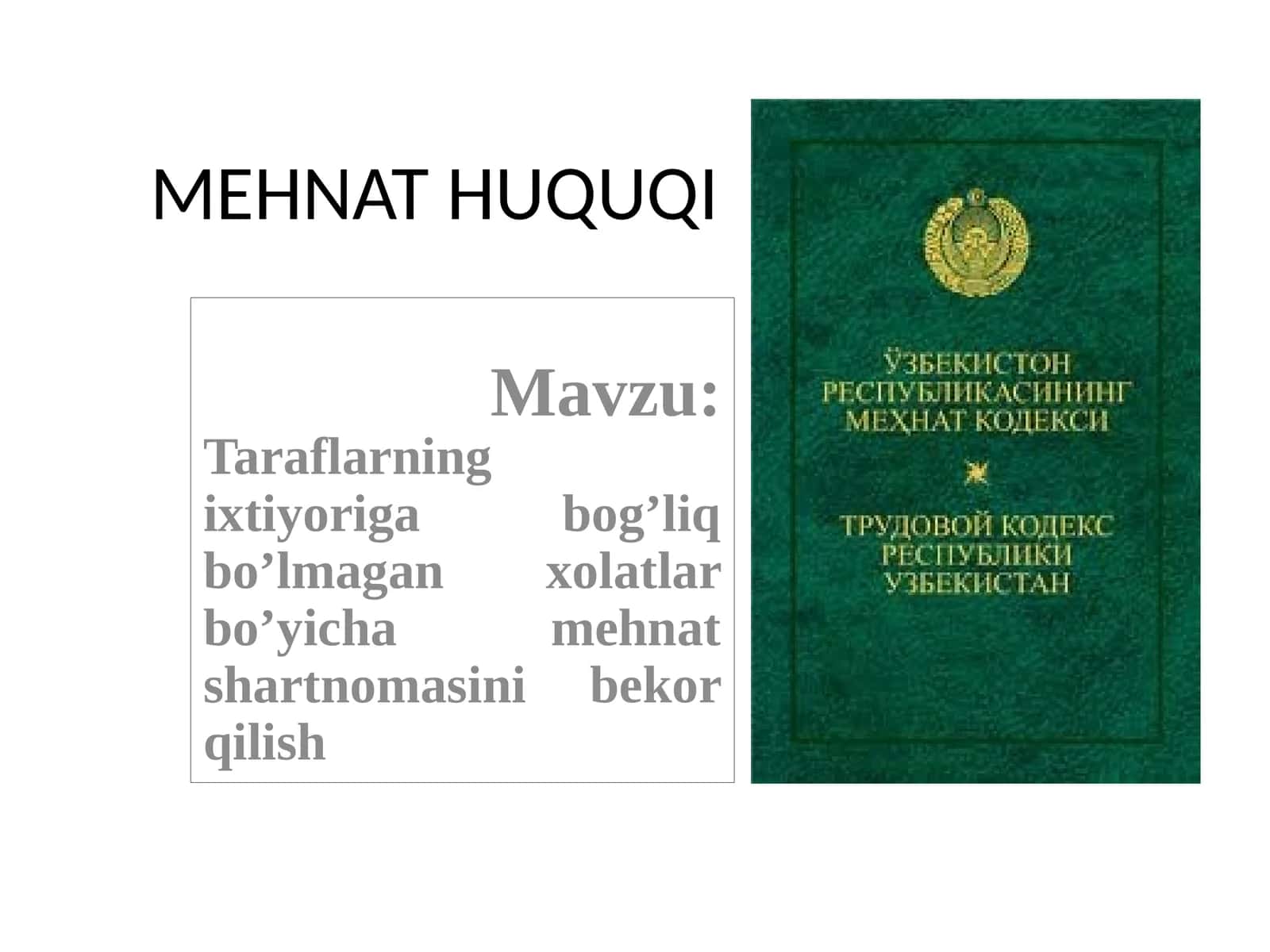 MEHNAT HUQUQI 1