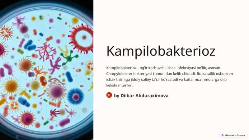 Kampilobakterioz 1