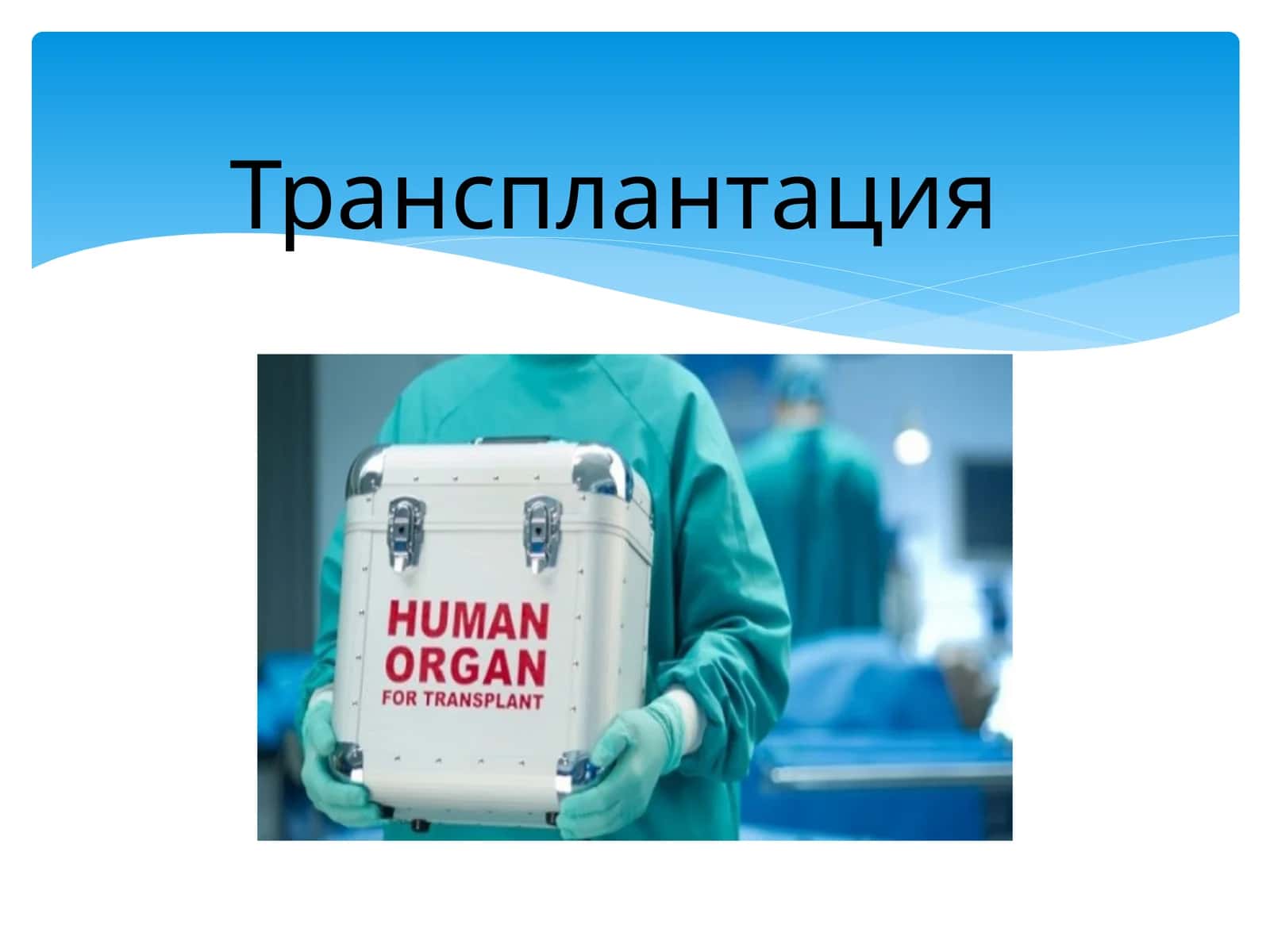 Трансплантация 1