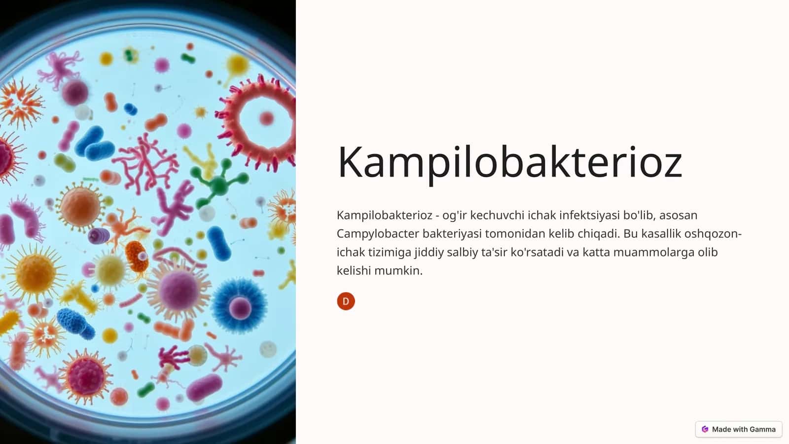 Kampilobakterioz 1