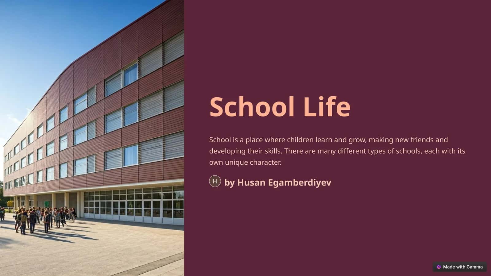 School Life 1