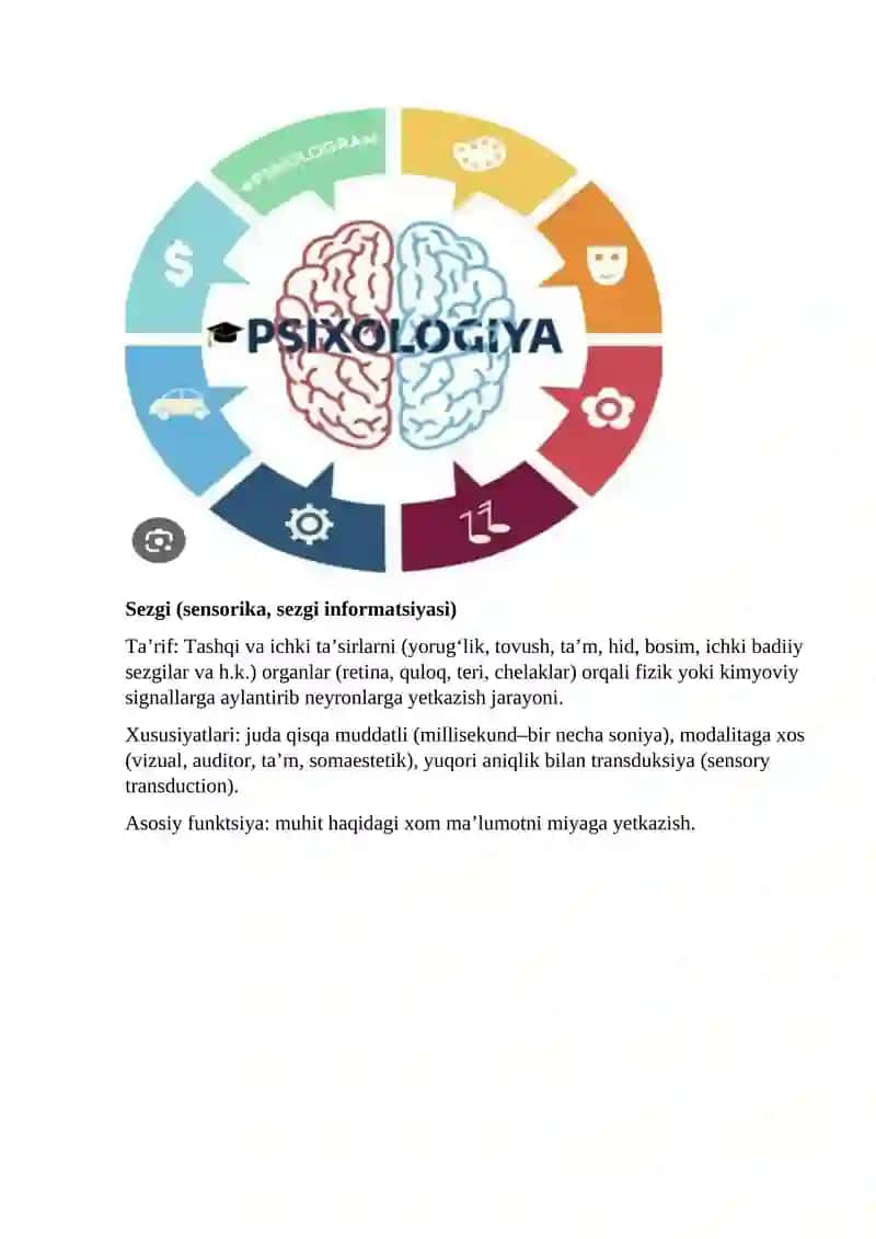 Sezgi (sensorika, sezgi informatsiyasi)