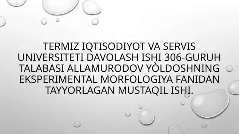 Eksperimental morfologiya 1