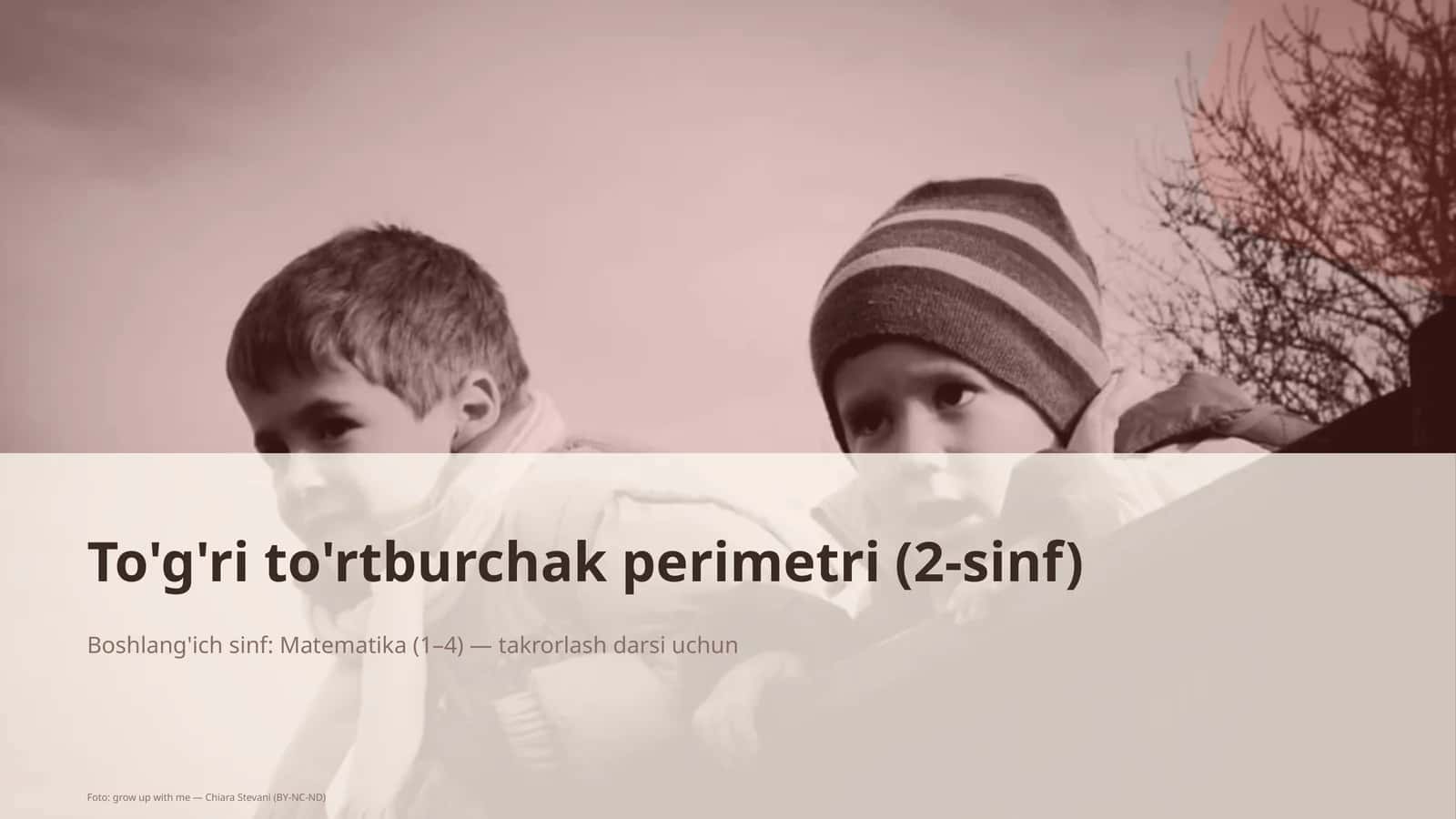 To'g'ri to'rtburchak perimetri (2-sinf) 1