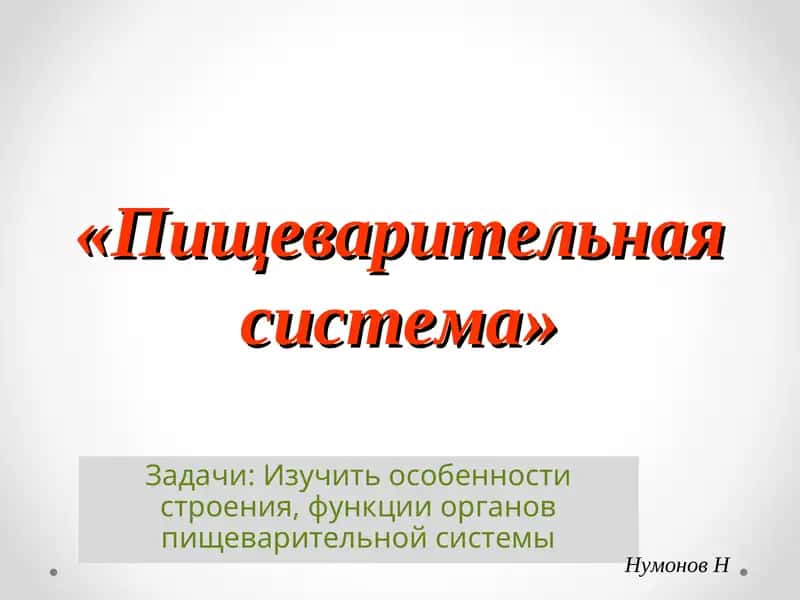 Пищеварительная система 1