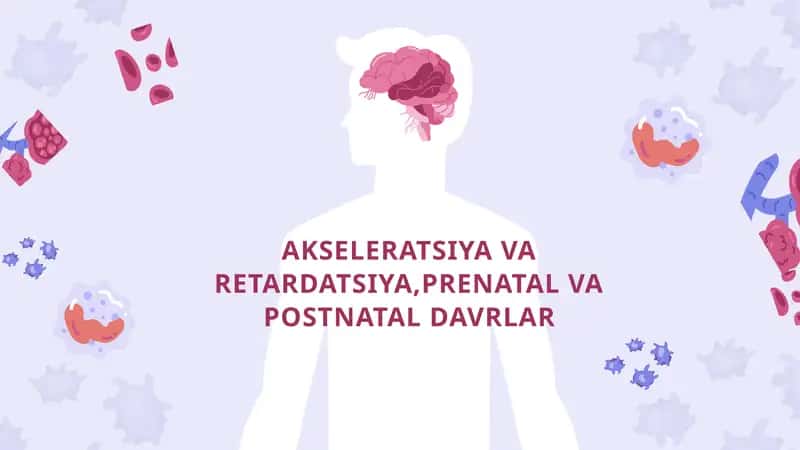 AKSELERATSIYA VA RETARDATSIYA,PRENATAL VA POSTNATAL DAVRLAR 1