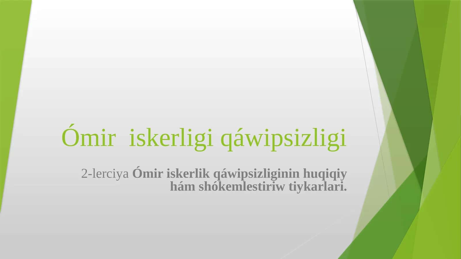 Ómiriskerlik qáwipsizligi 1
