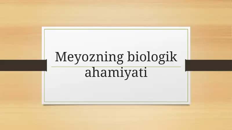 Meyozning biologik ahamiyati 1