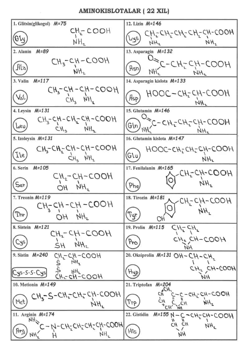 Aminokislotalar (22 xil) 1