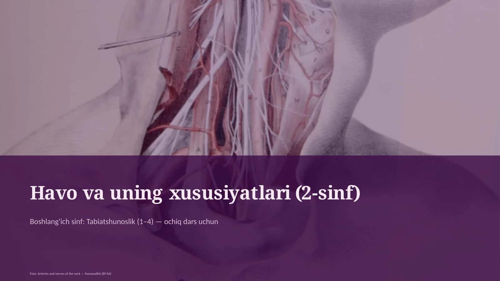 Havo va uning xususiyatlari (2-sinf) 1