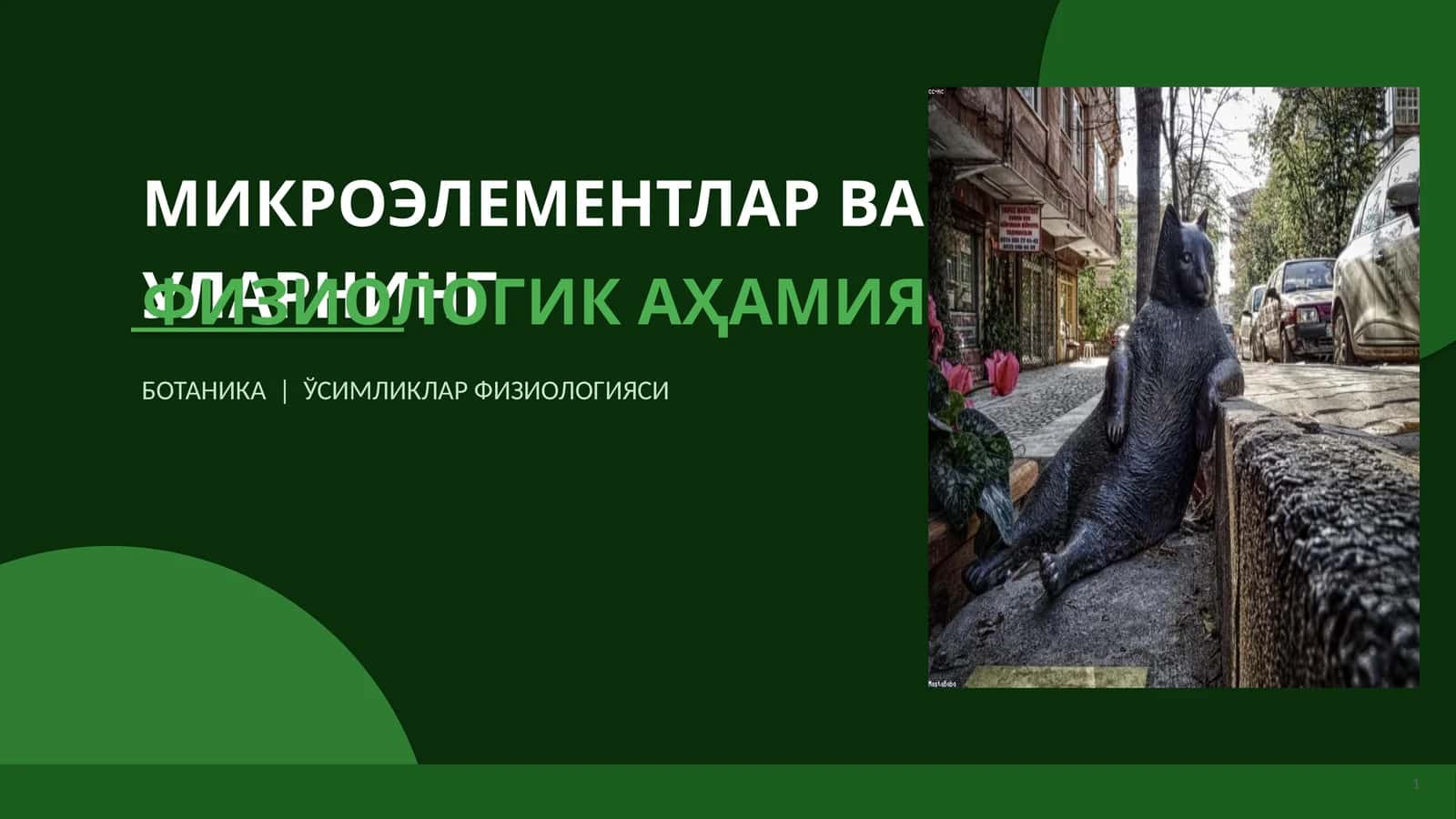 МИКРОЭЛЕМЕНТЛАР ВА УЛАРНИНГ ФИЗИОЛОГИК АҲАМИЯТИ 1