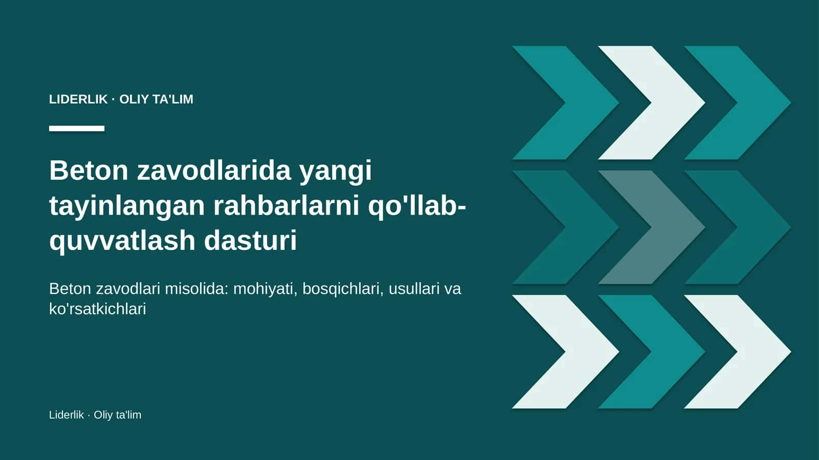 Yangi rahbarlarni qo'llab-quvvatlash dasturi: mohiyati 1