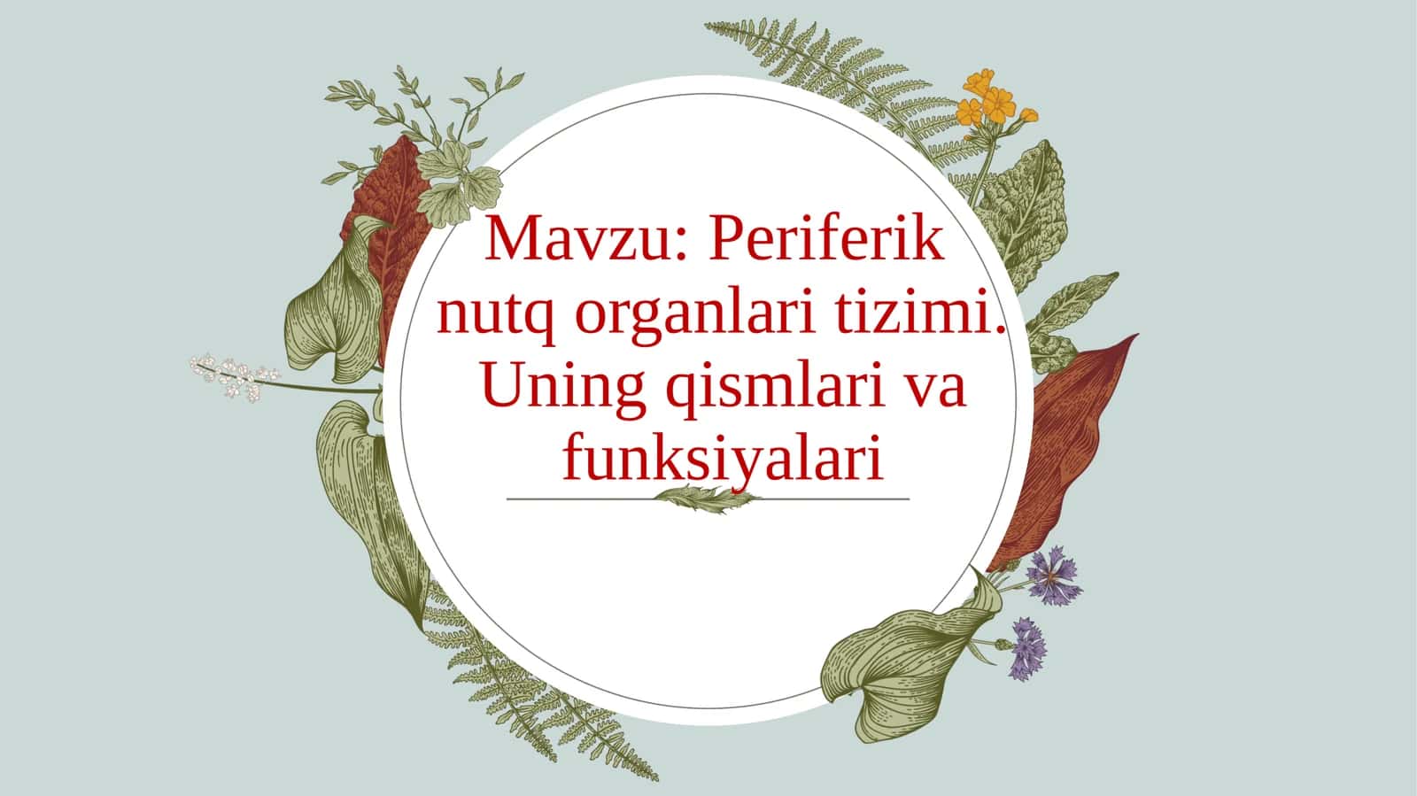 Periferik nutq organlari tizimi 1